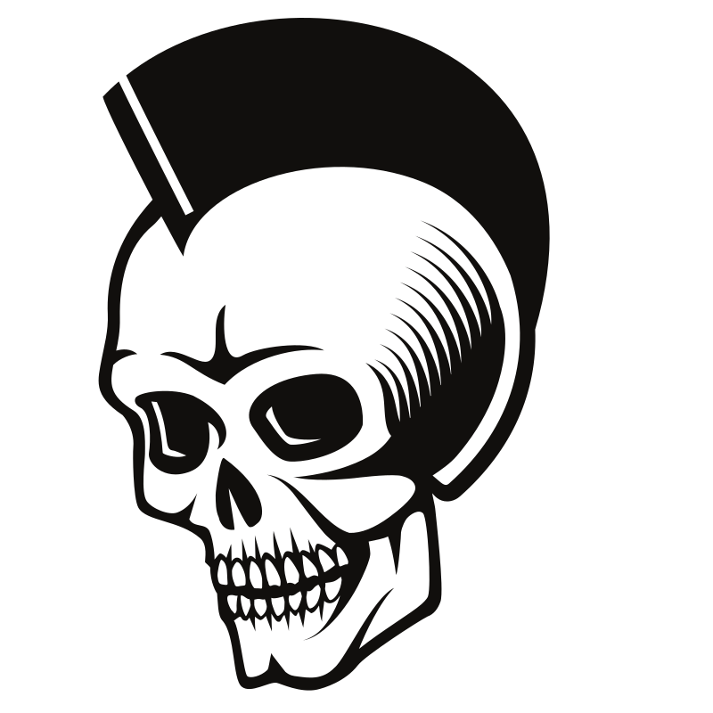 A skull with a mohawk hairstyle.