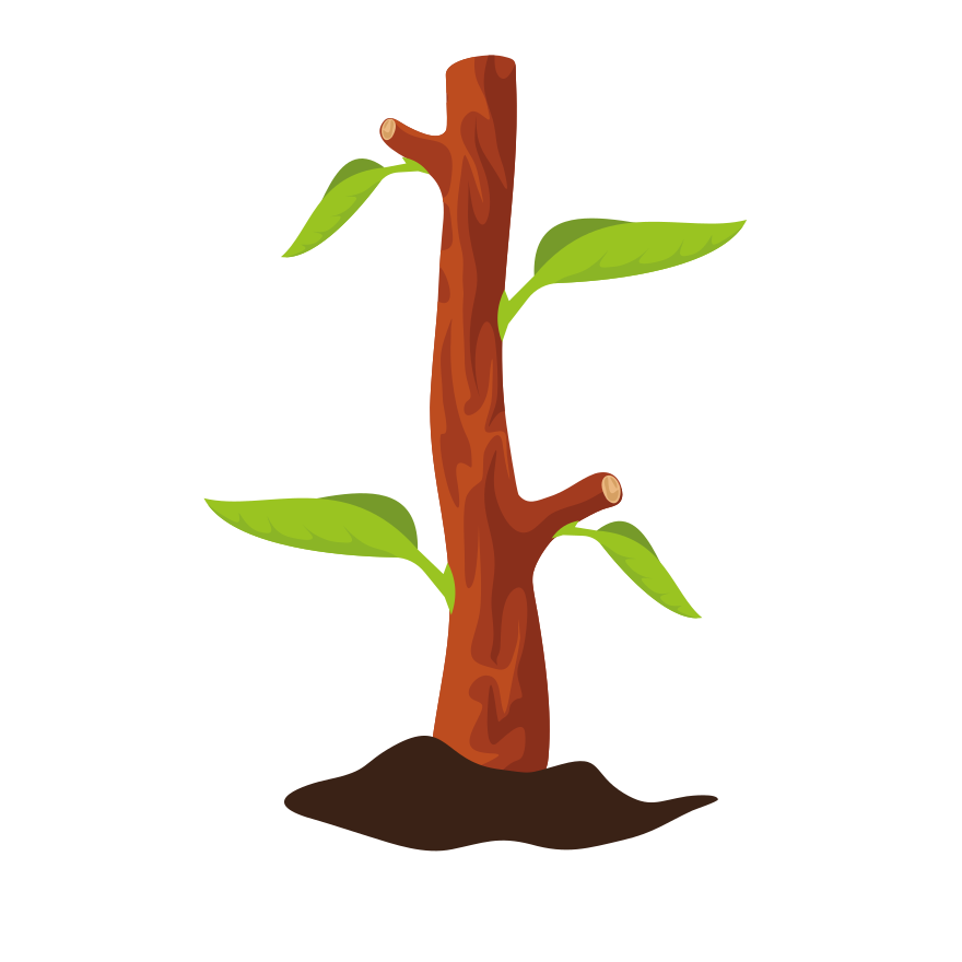 Photo by publicdomainvectors