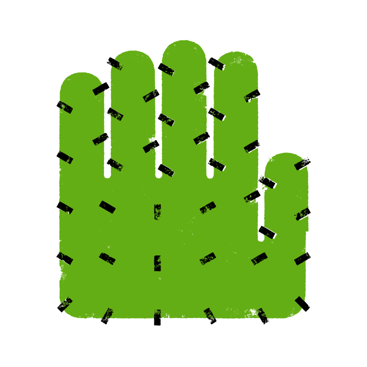 Un cactus vert en forme de main.