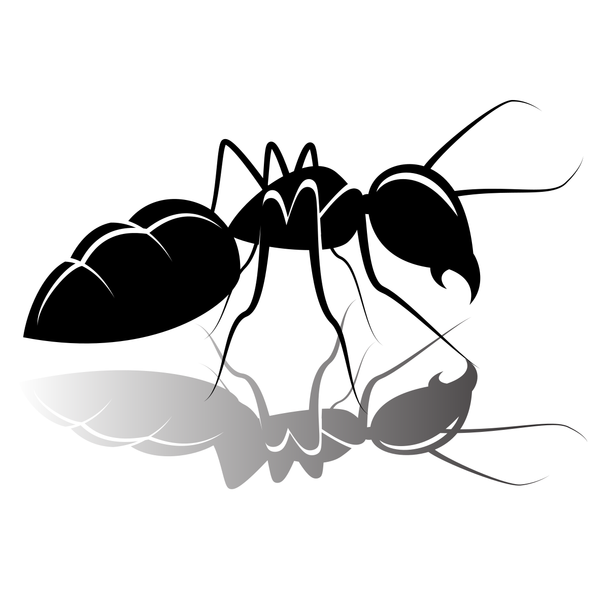 Photo by publicdomainvectors