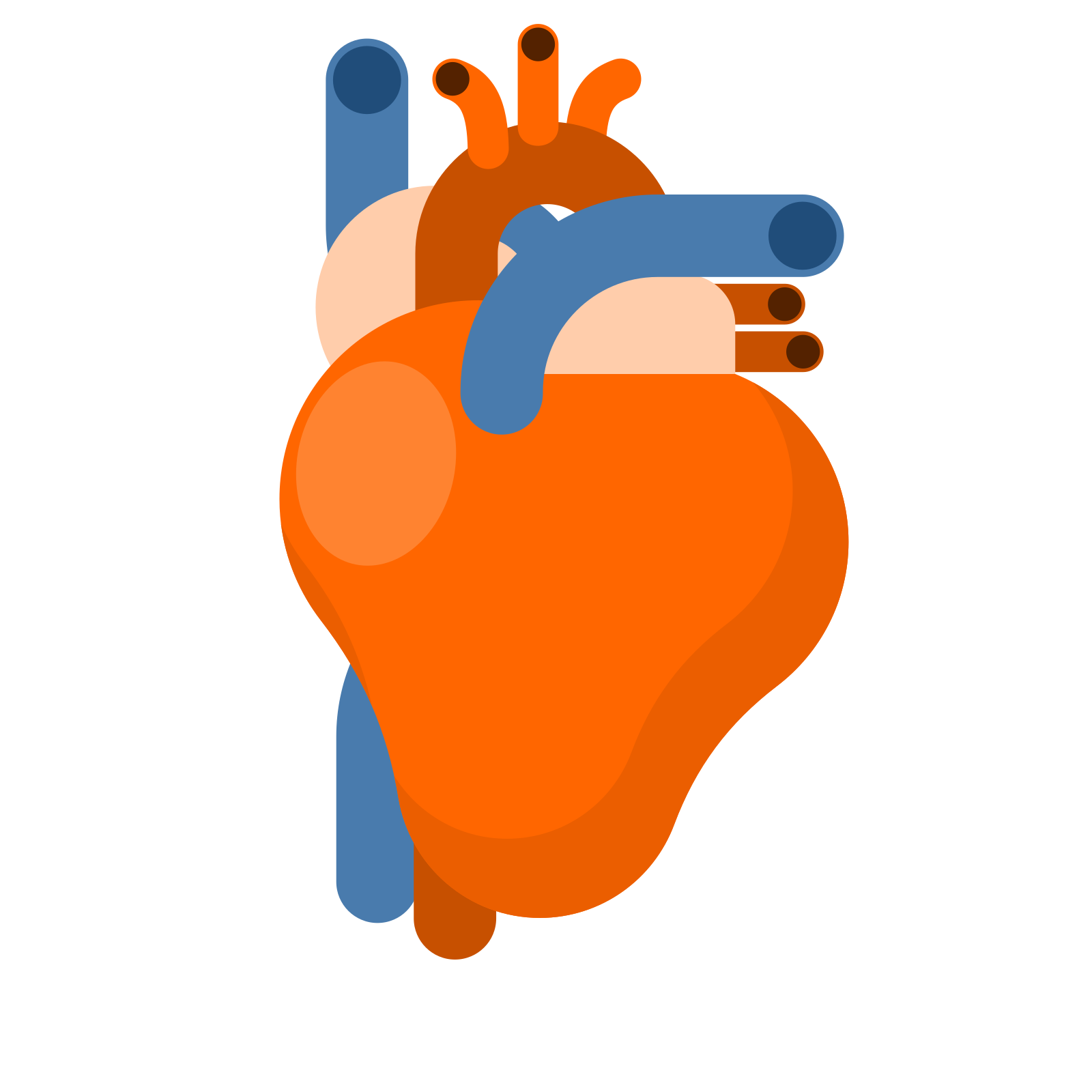 An illustrated anatomical heart is shown.