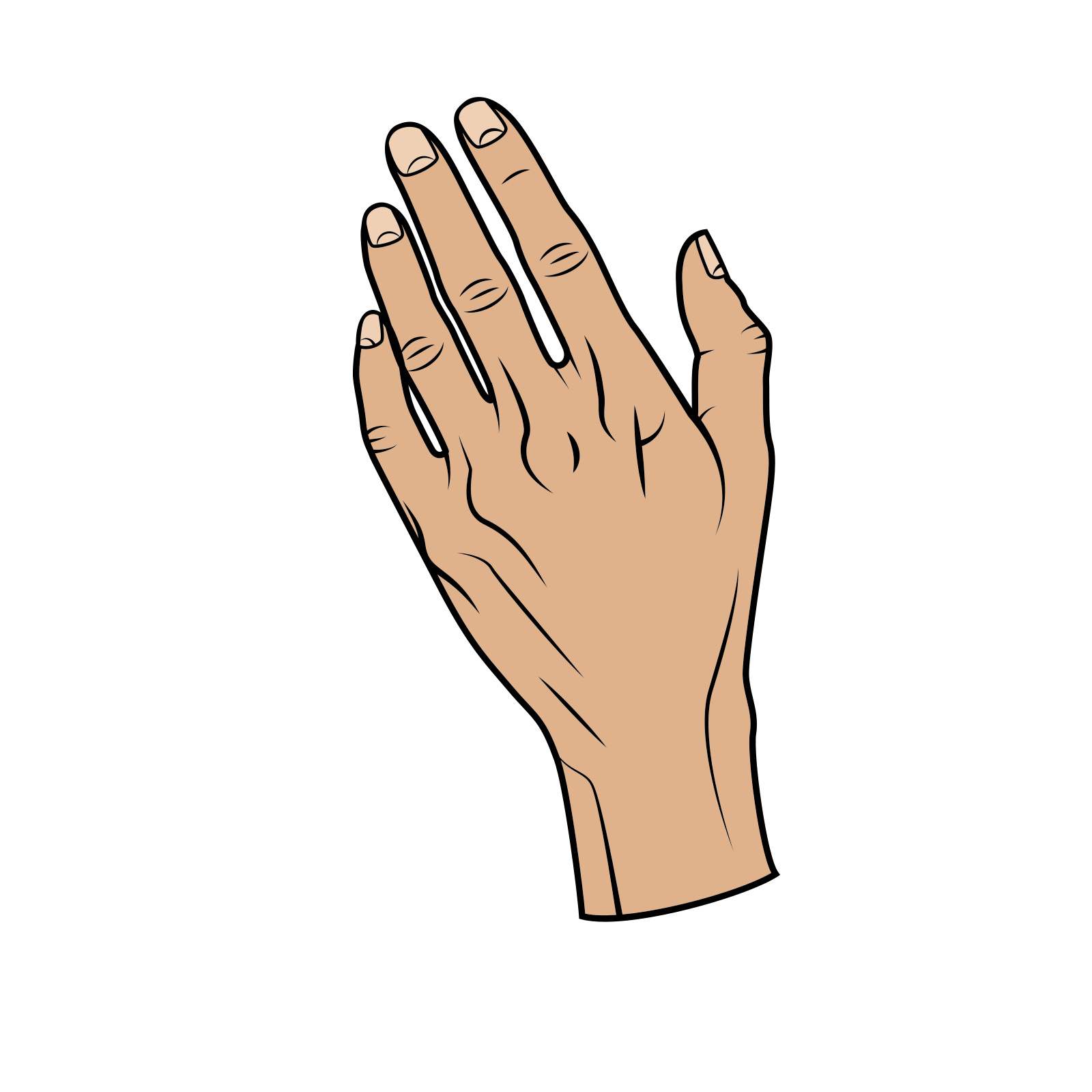 Here is a drawn hand.