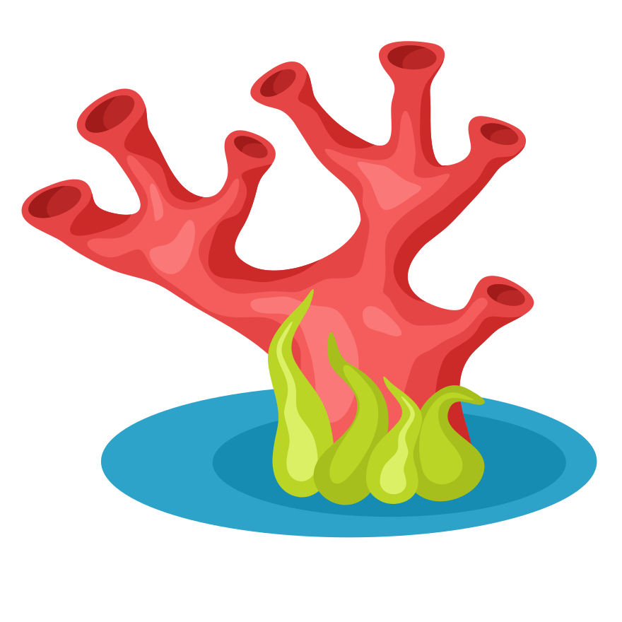 Photo by publicdomainvectors