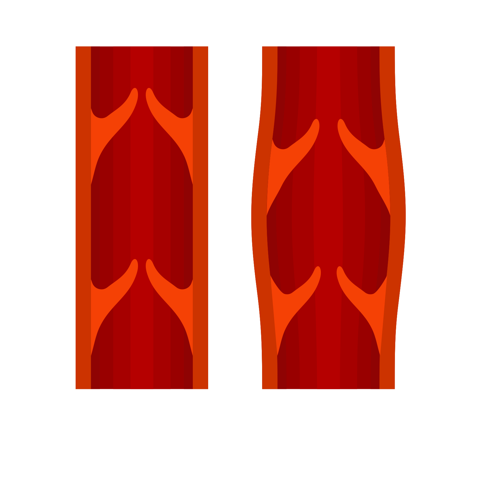 Veins with valves that prevent backflow of blood.