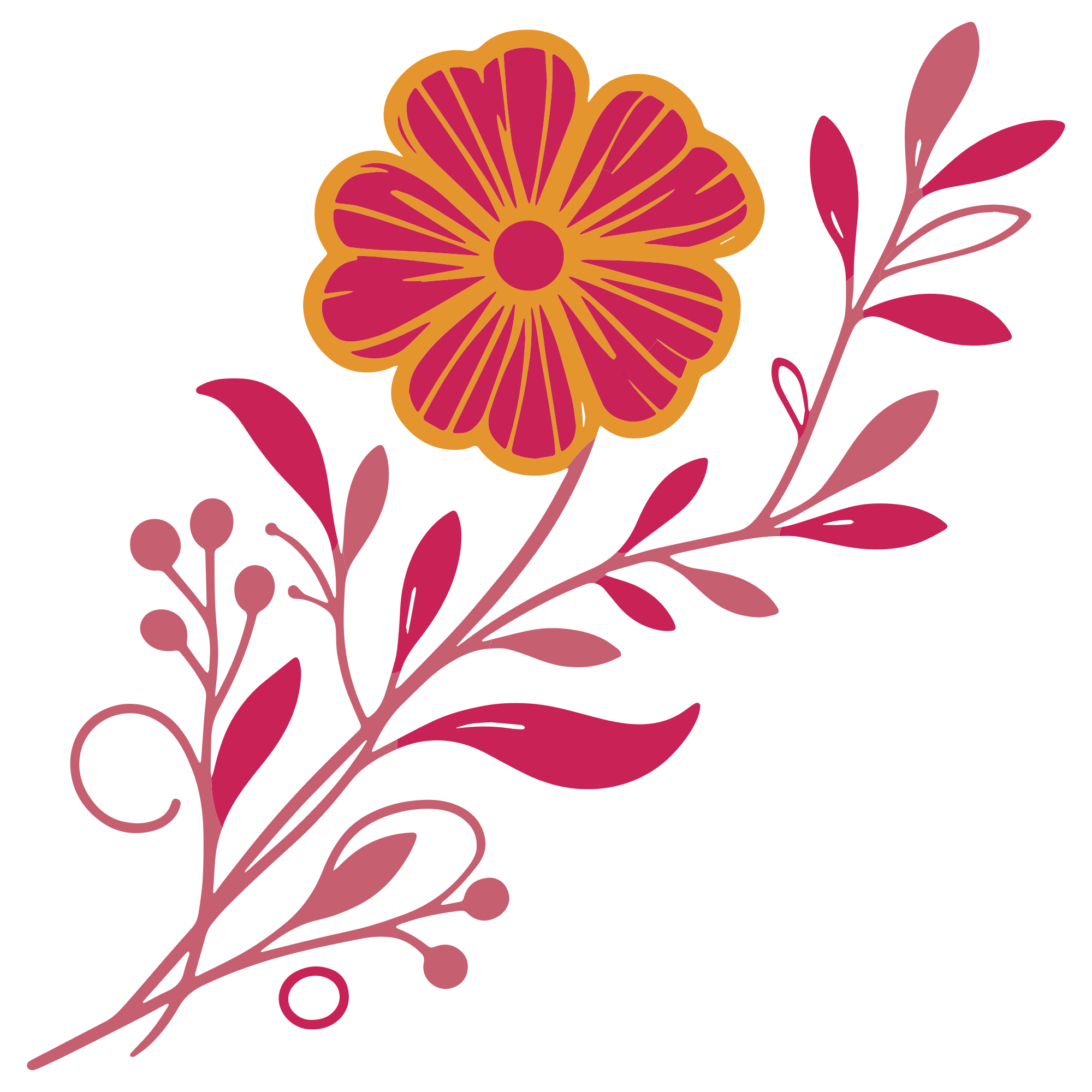 hibiscus flower drawing