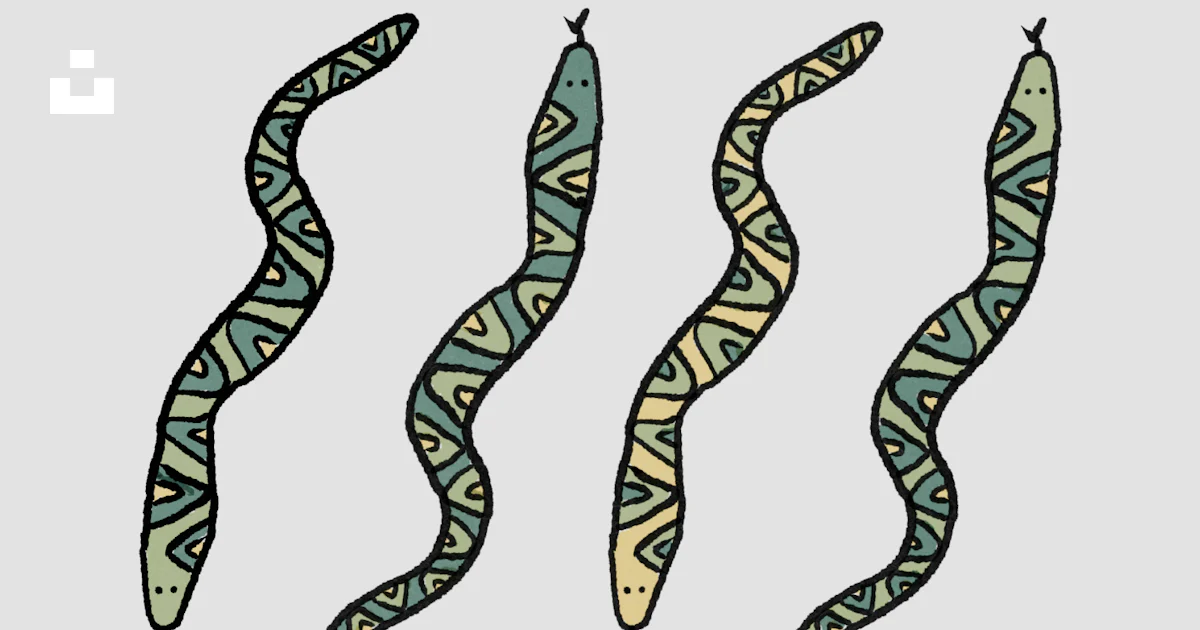 Here is a short caption: four decorative snakes with patterns on them ...