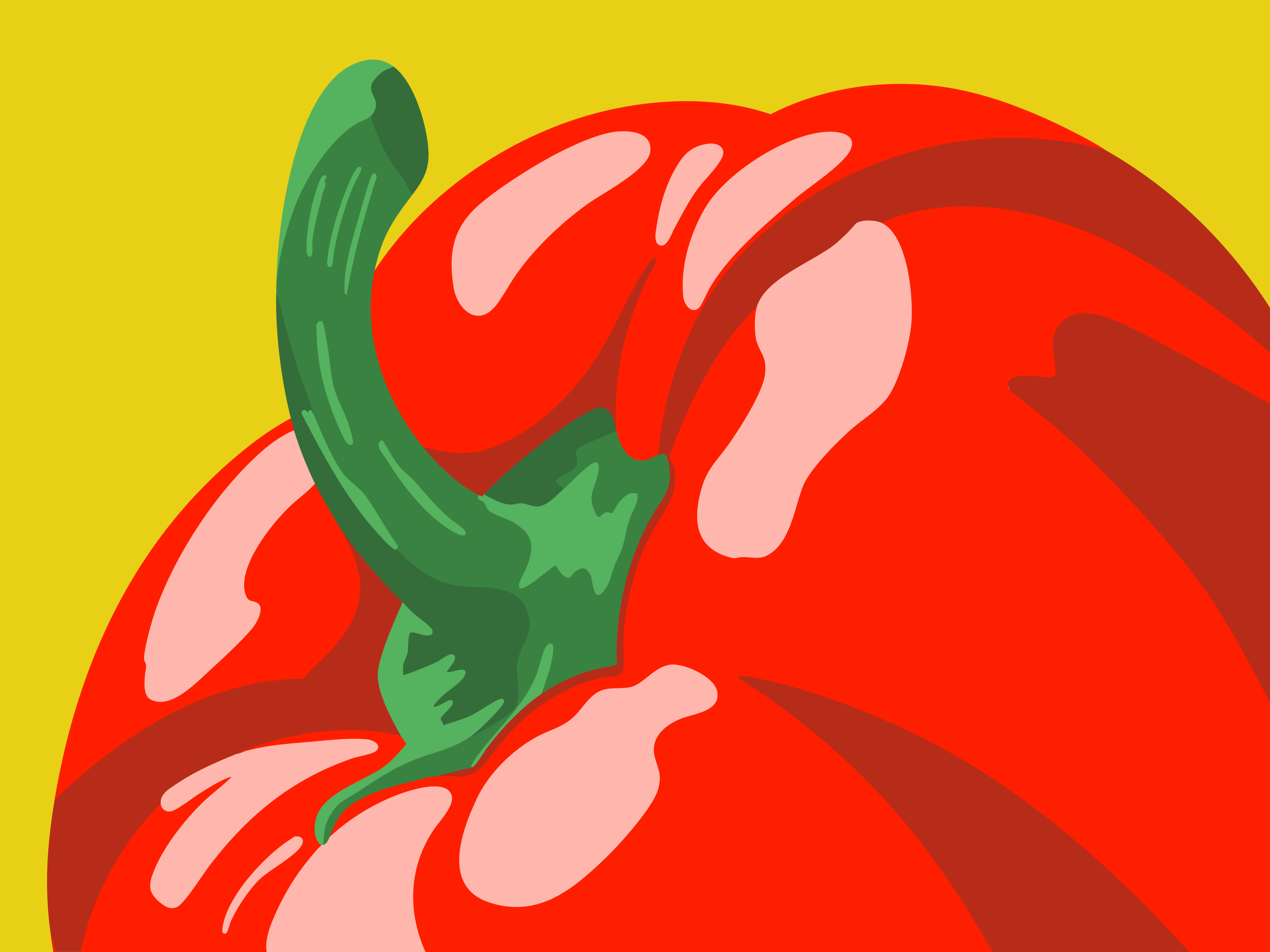 Photo by fadhilsanad