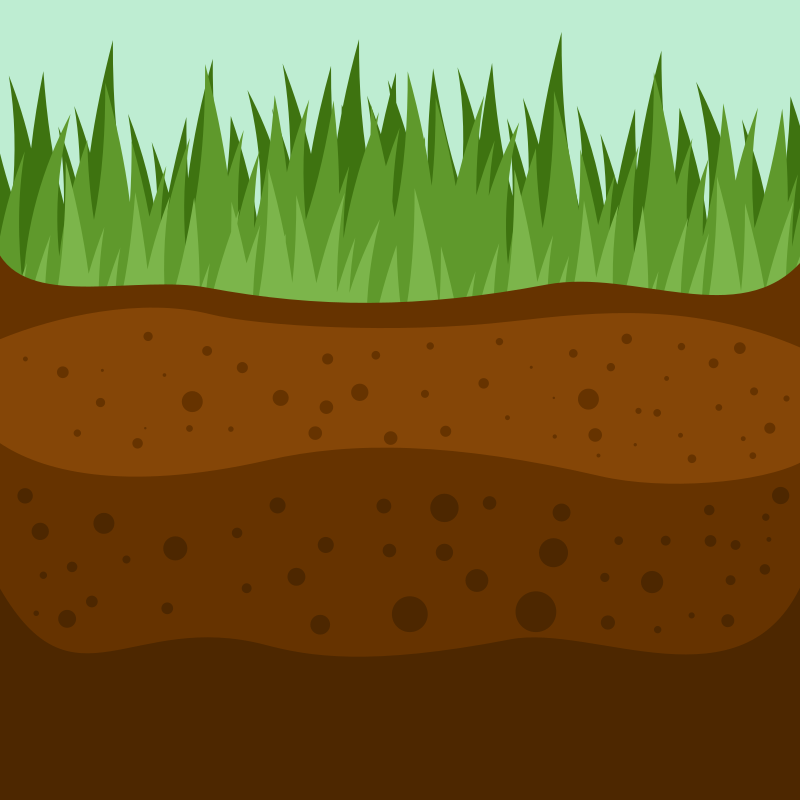 Layers of soil with grass growing on top.