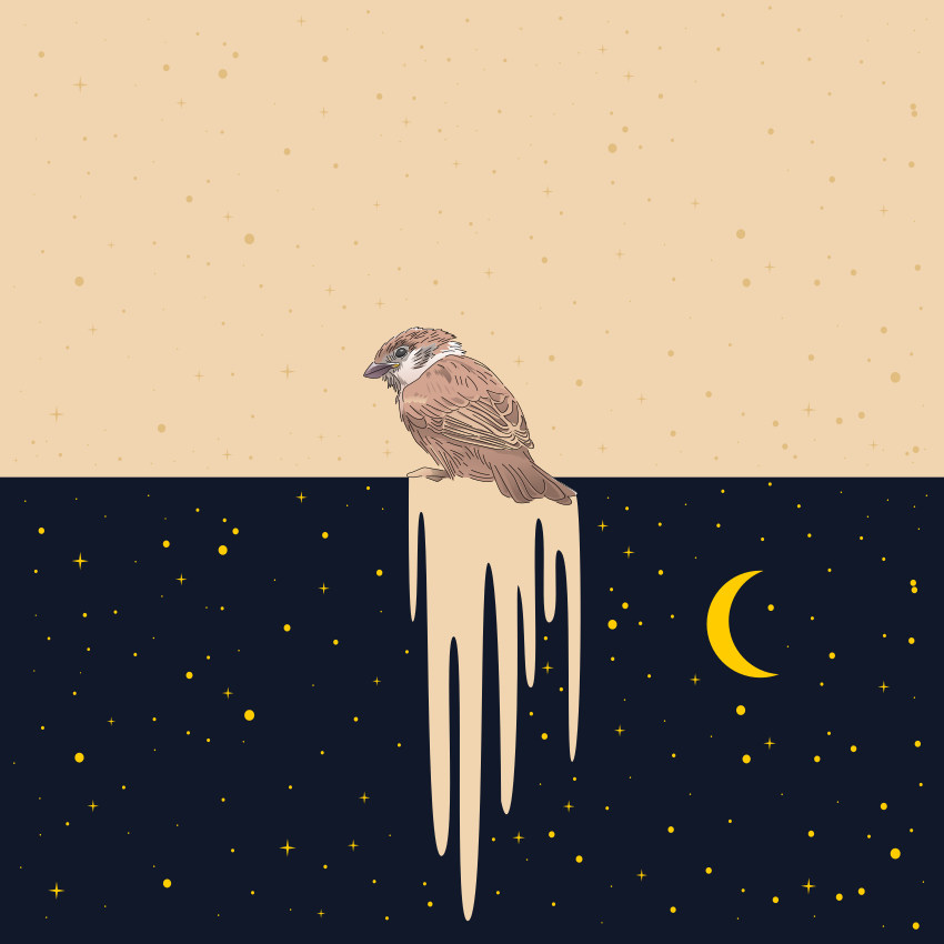 Photo by andsproject