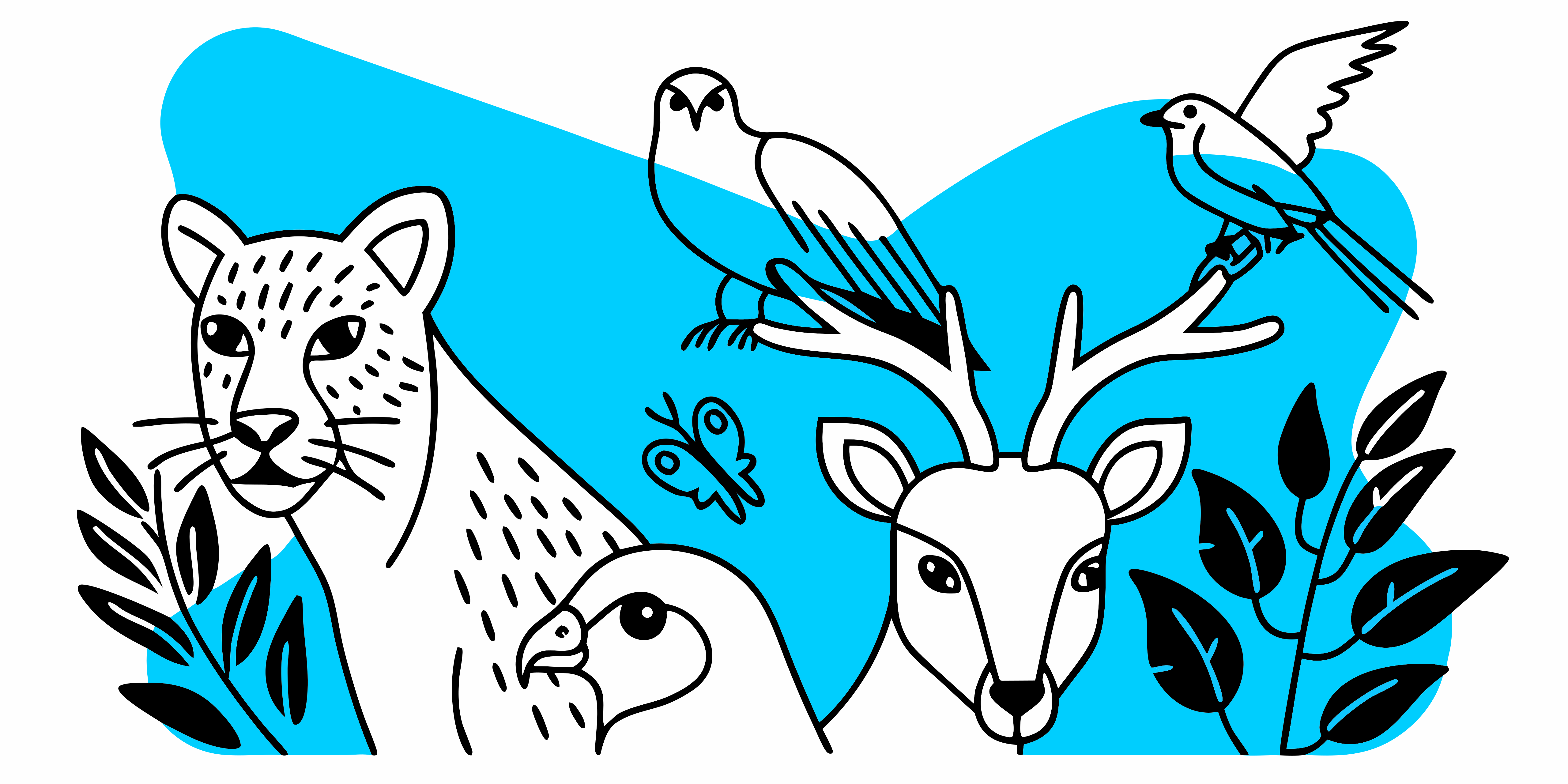 Animals, birds and insects stand over a blue backdrop.