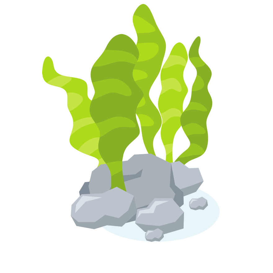 Photo by publicdomainvectors