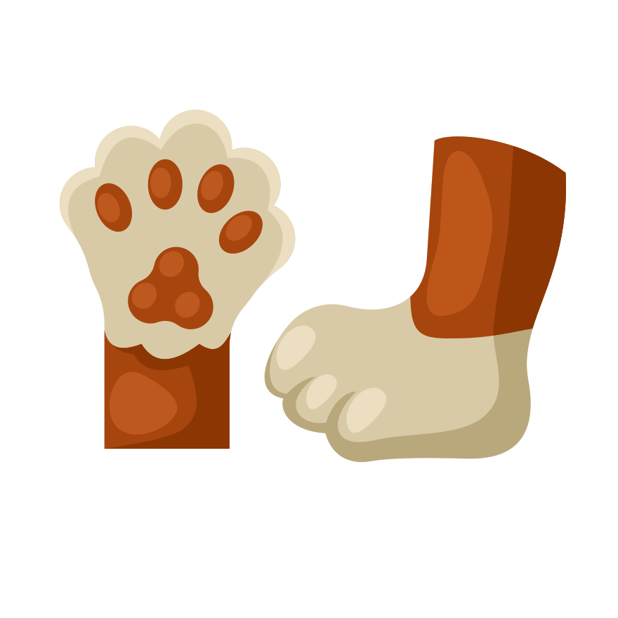 De jolies empreintes de pattes sont exposées sur la photo. vectoriel –  Image gratuite de Chat sur Unsplash, image size:3000x3000