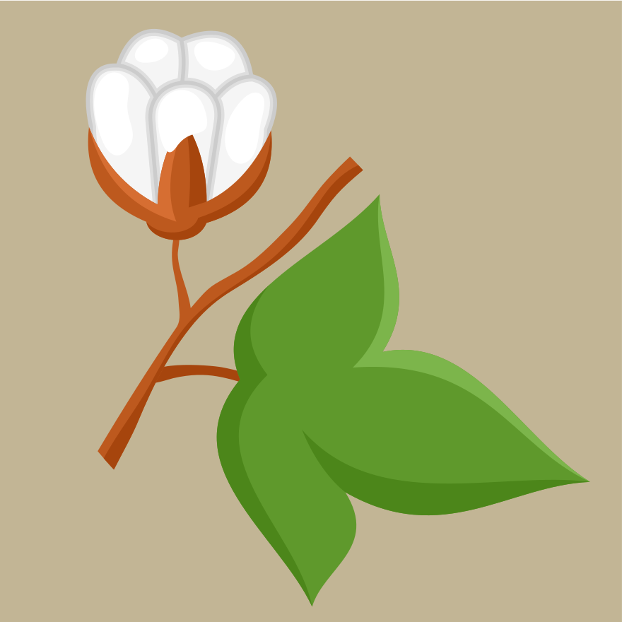 초록 잎이 핀 목화꽃. 벡터 – Unsplash의 무료 식물 이미지, image size:3000x3000