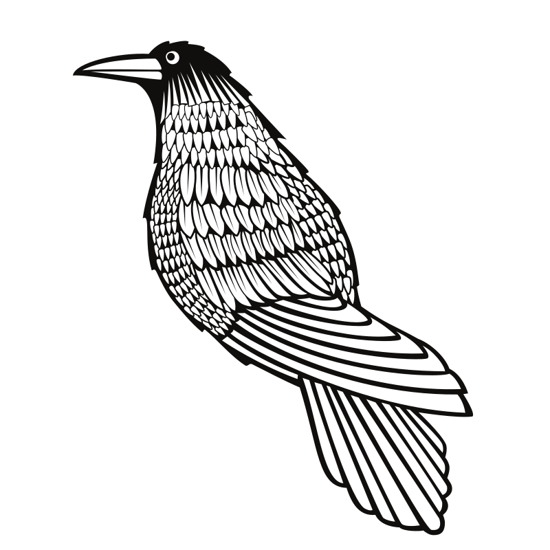 Photo by publicdomainvectors