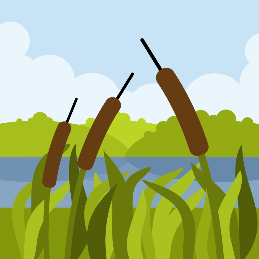 Photo by publicdomainvectors