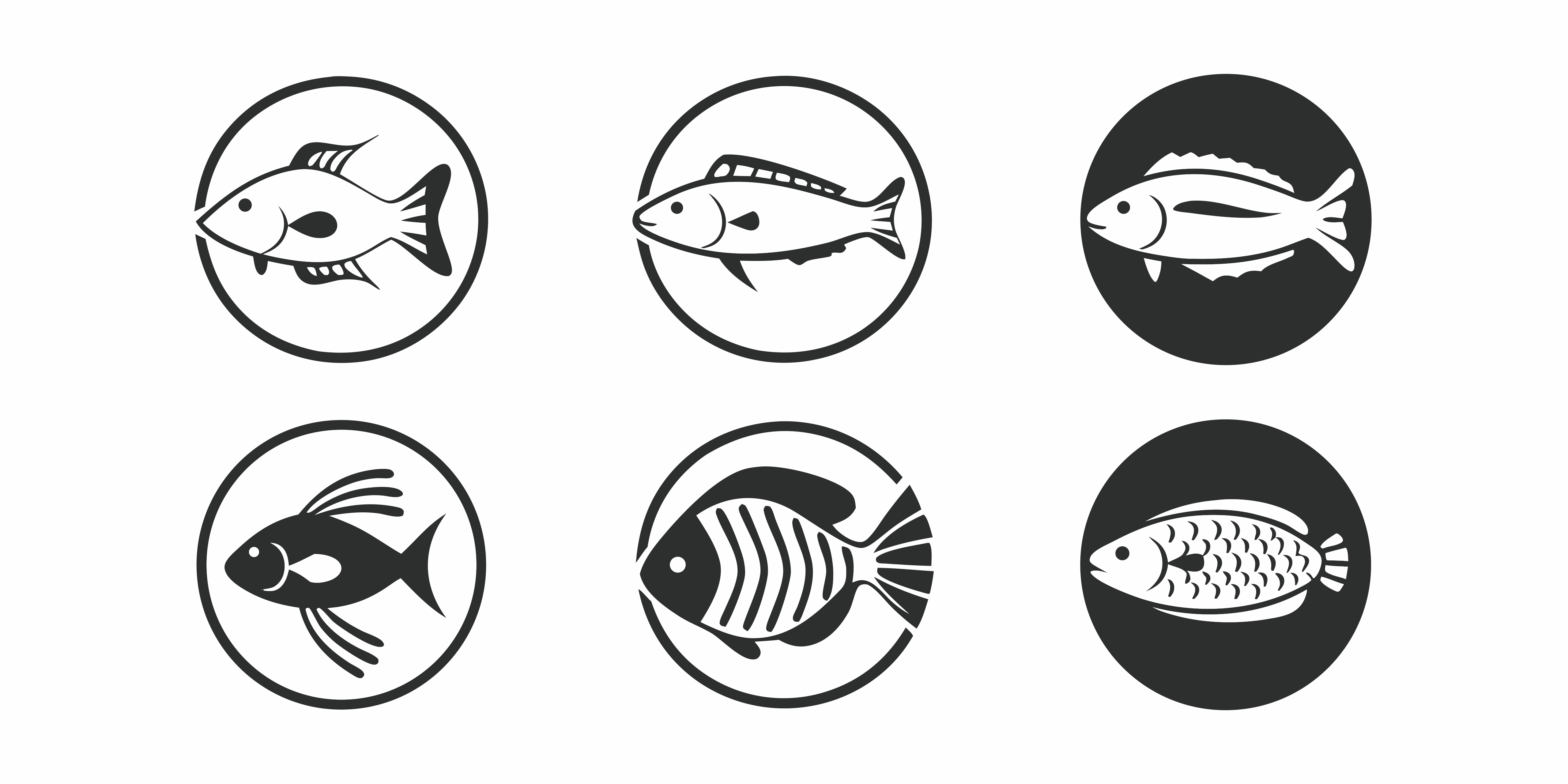 Photo by artattackzone