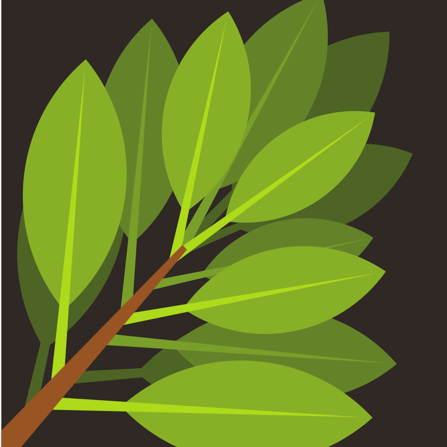 Photo by publicdomainvectors