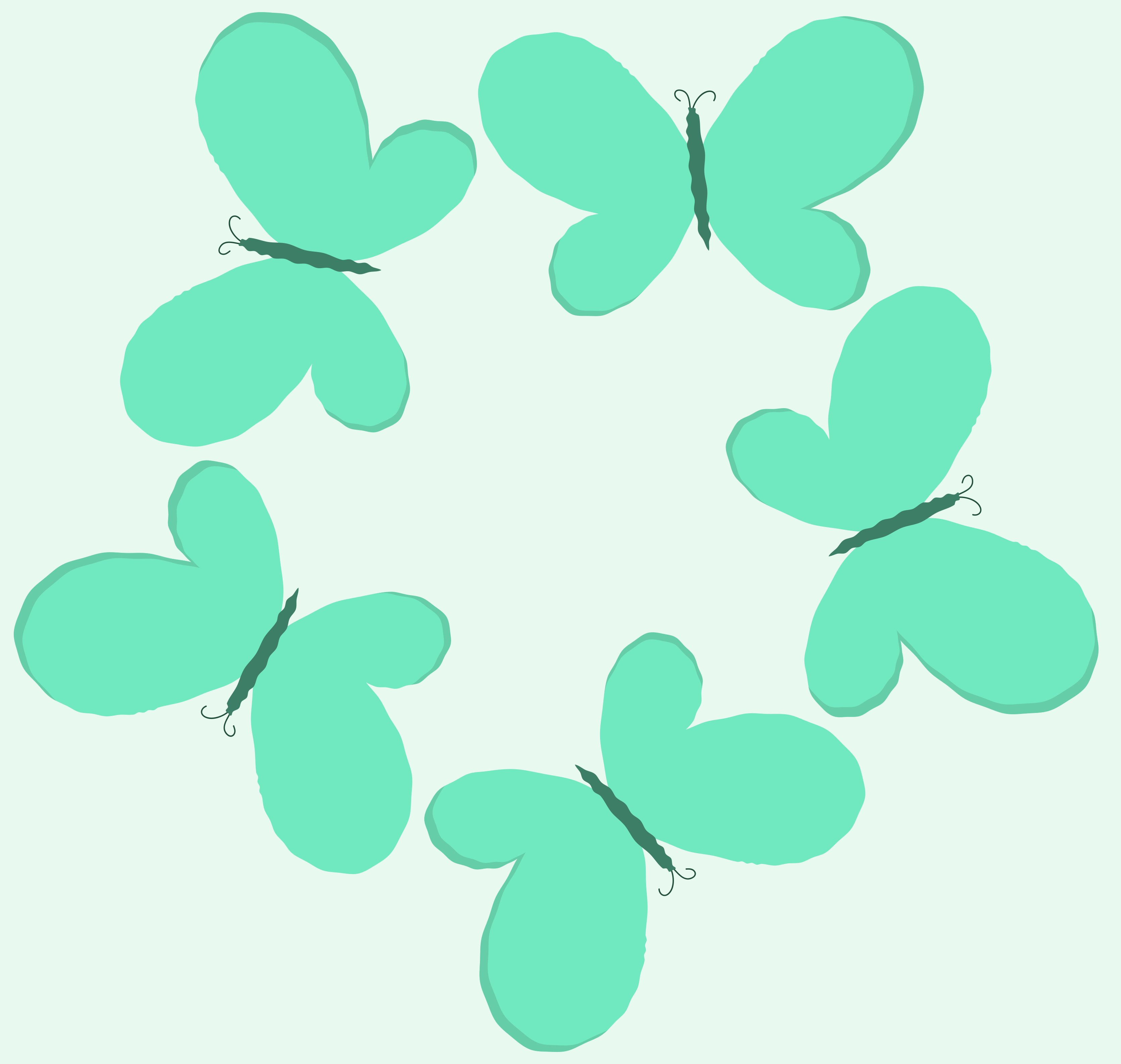 Photo by ummehaniali