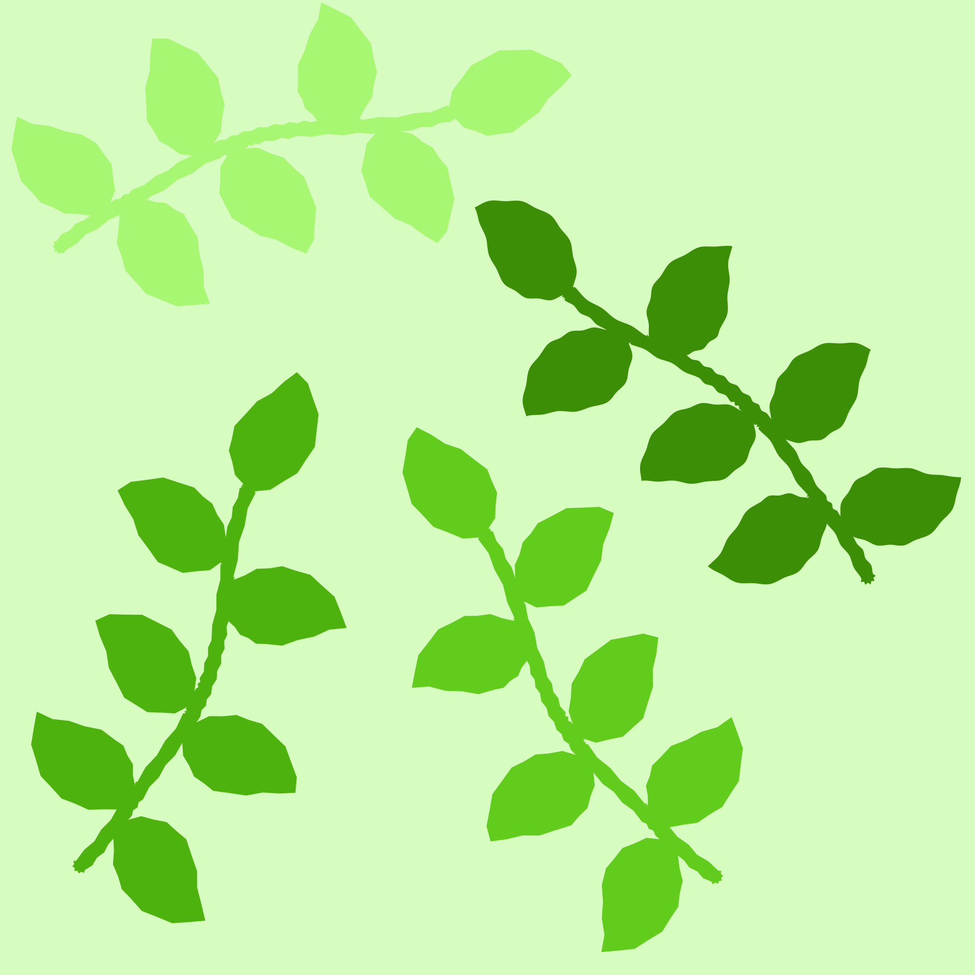 Photo by ummehaniali