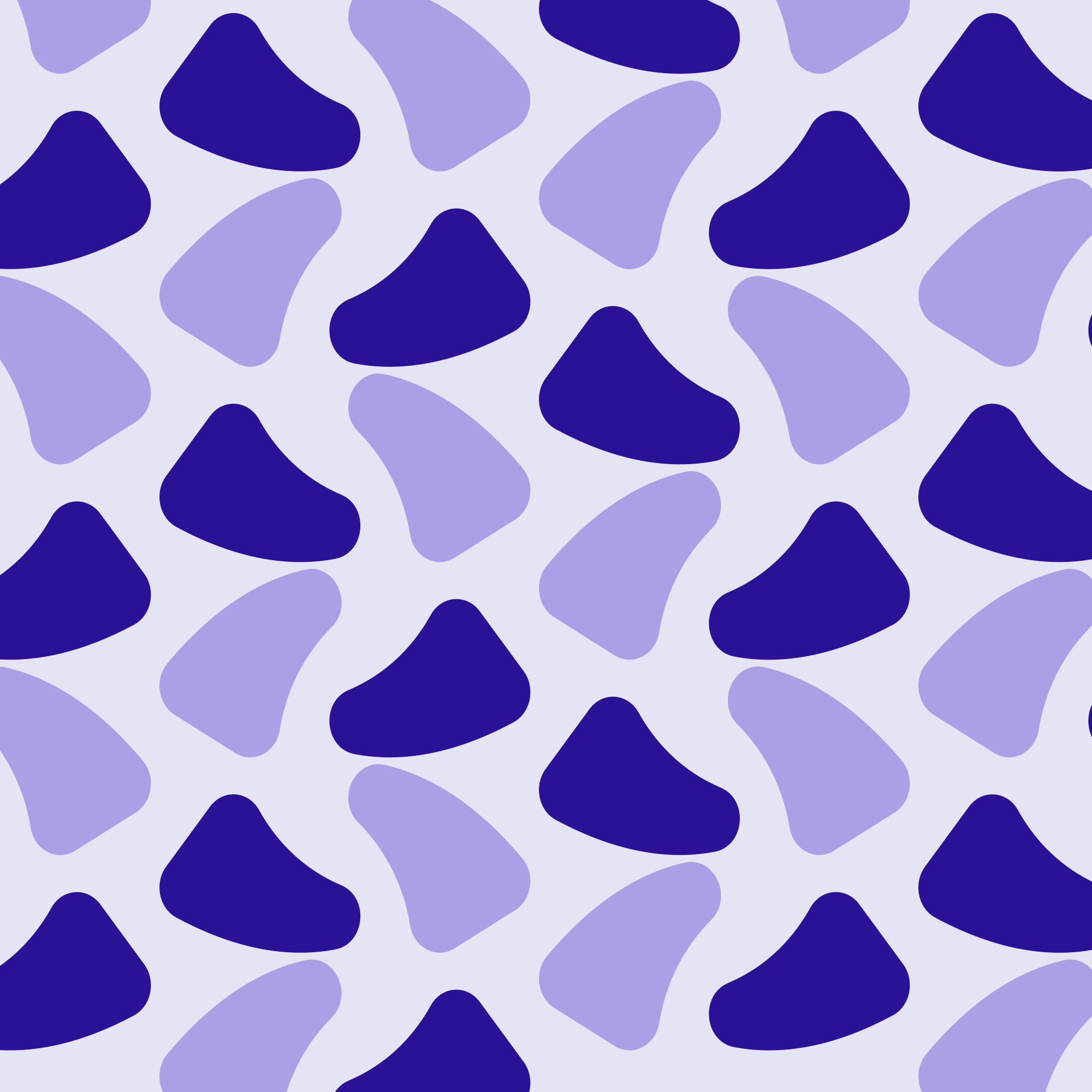 Photo by ummehaniali