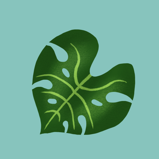 Photo by anniespratt