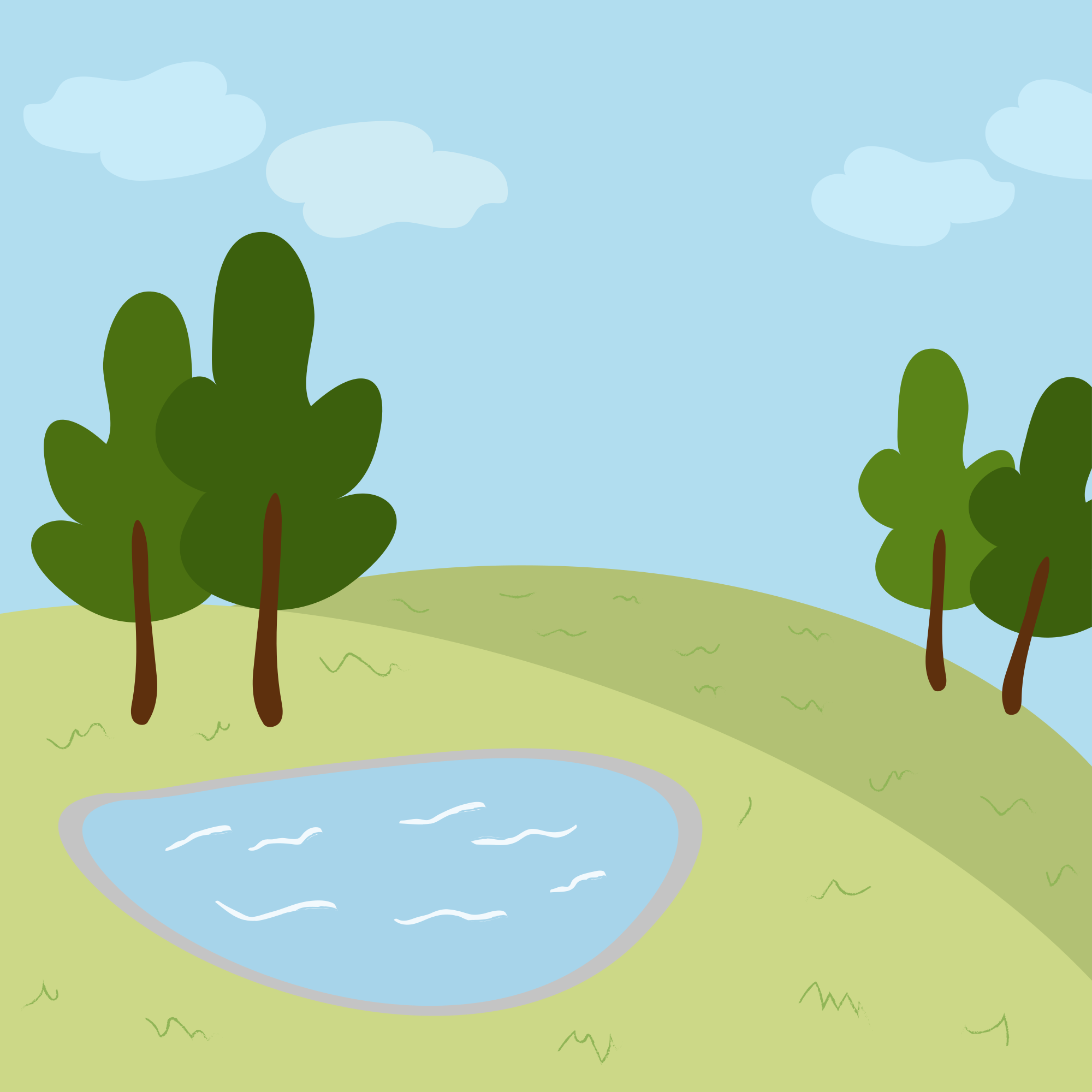 Photo by ummehaniali