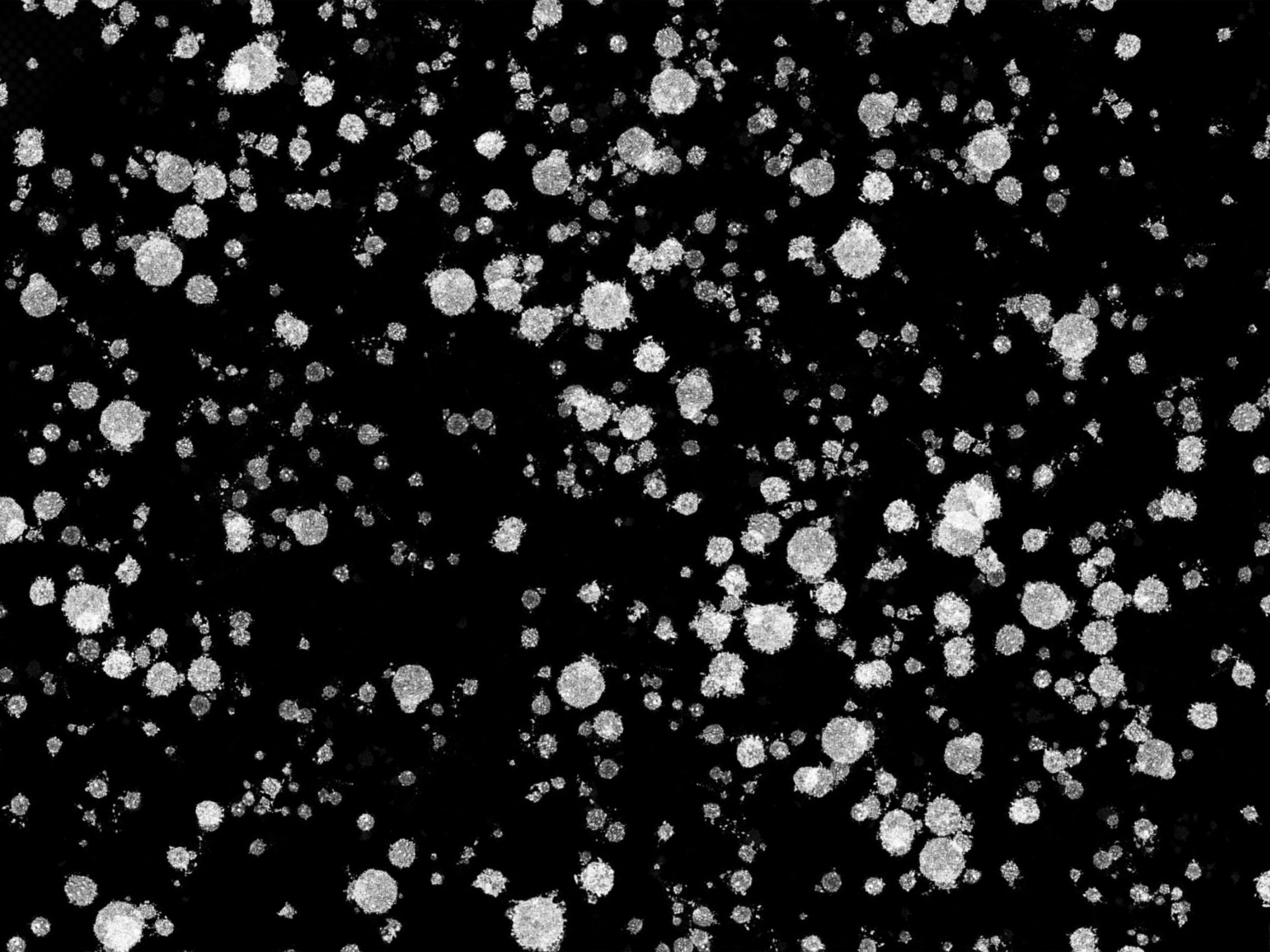 Salpicaduras de pintura blanca dispersas sobre fondo negro