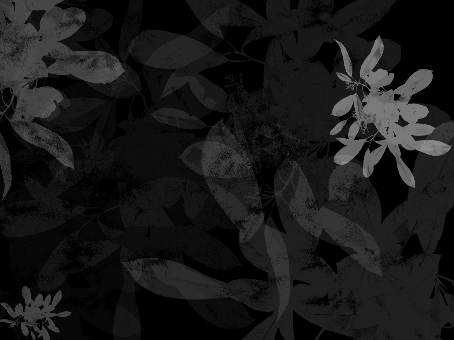 Photo by anniespratt