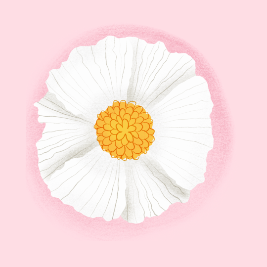 Photo by anniespratt