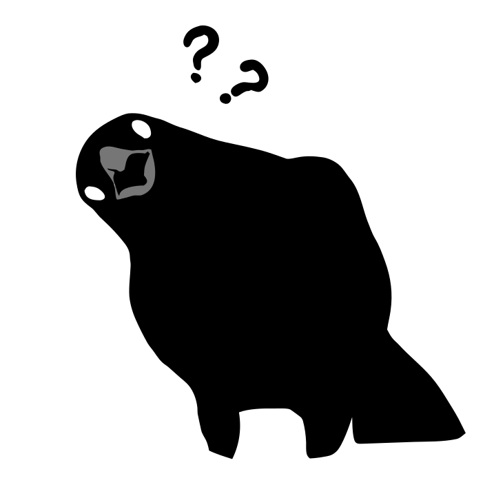 Photo by korner_kosmos