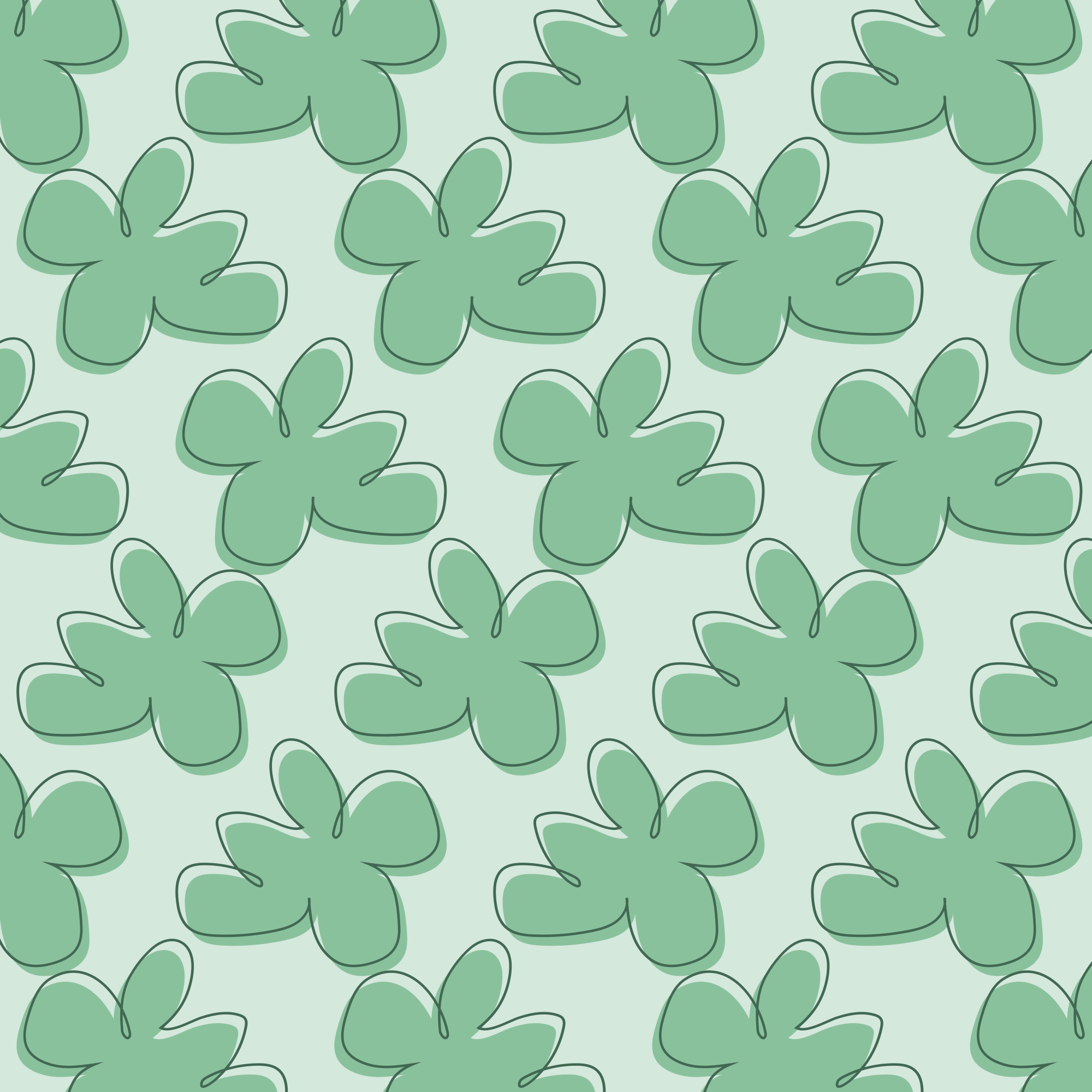 Photo by ummehaniali