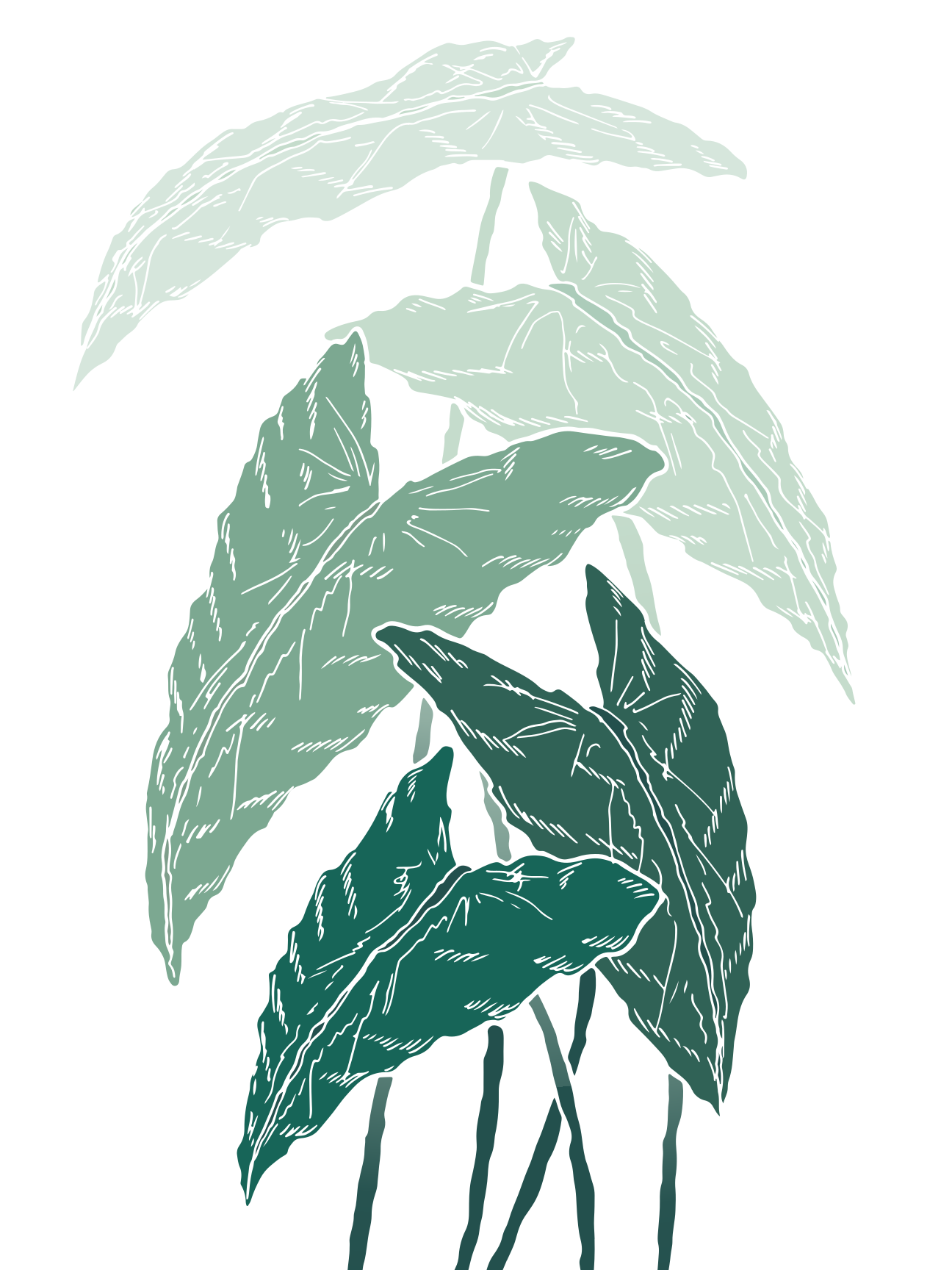 Photo by ruisilvestrecreative