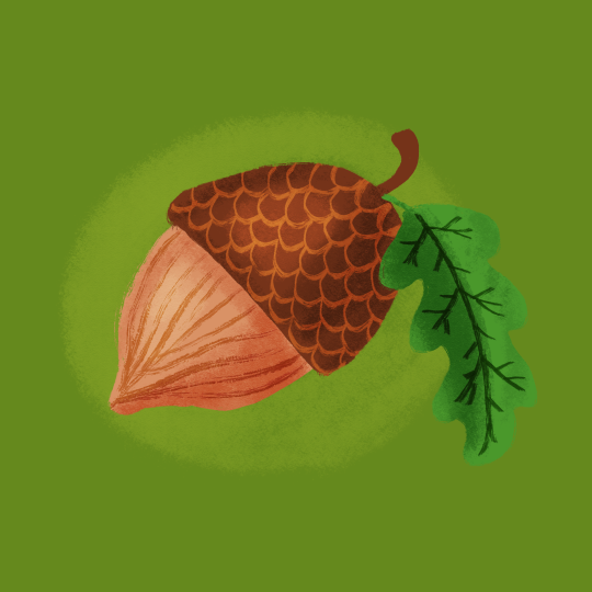 Photo by anniespratt