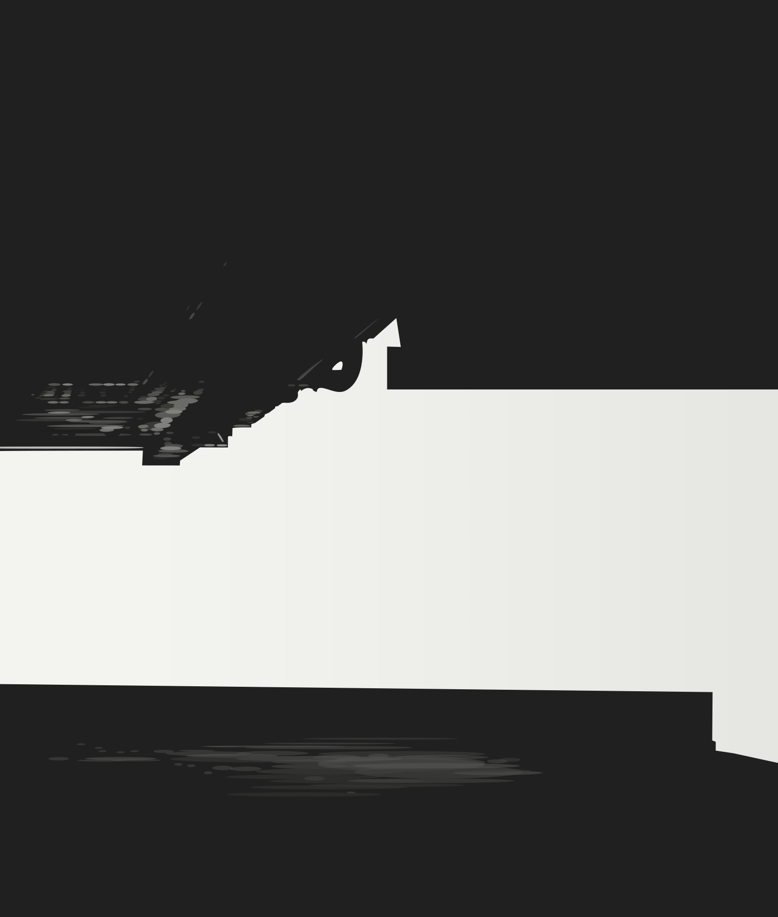 Abstract black and white shapes with textured elements.