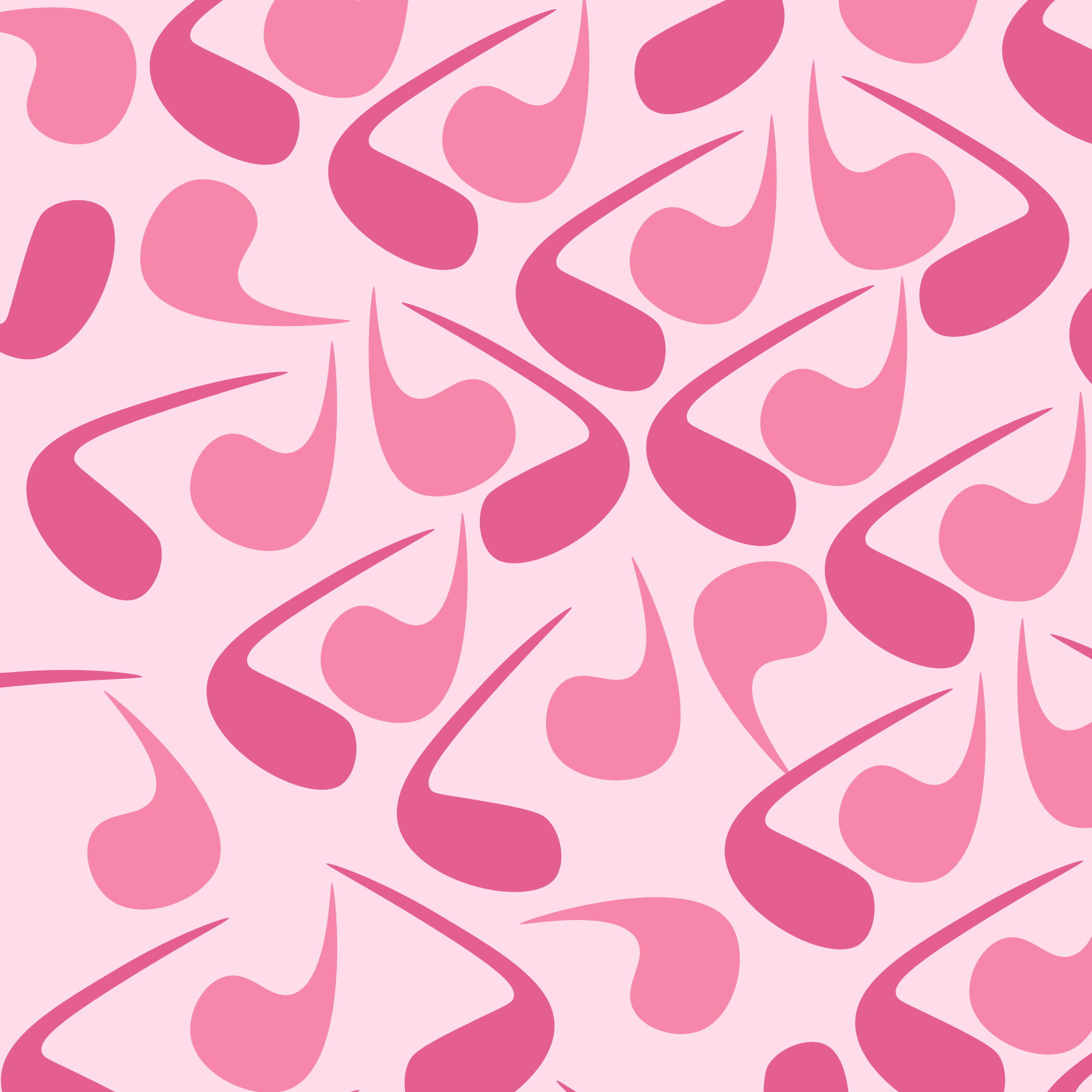 Photo by ummehaniali