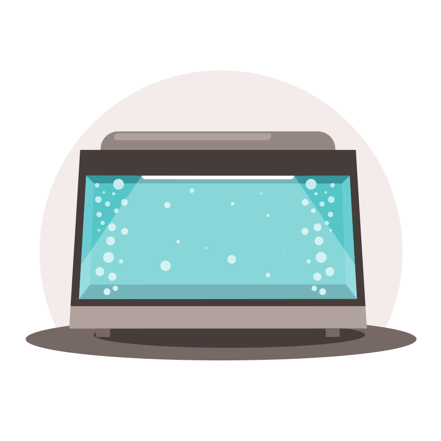 Photo by publicdomainvectors