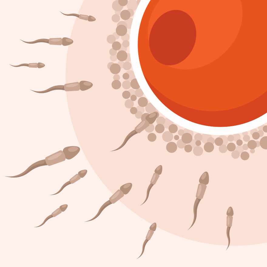 Photo by publicdomainvectors