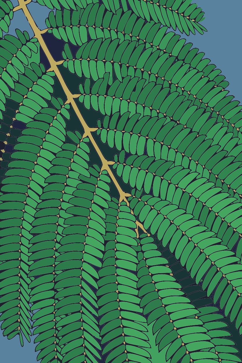 Close-up of a vibrant green fern frond