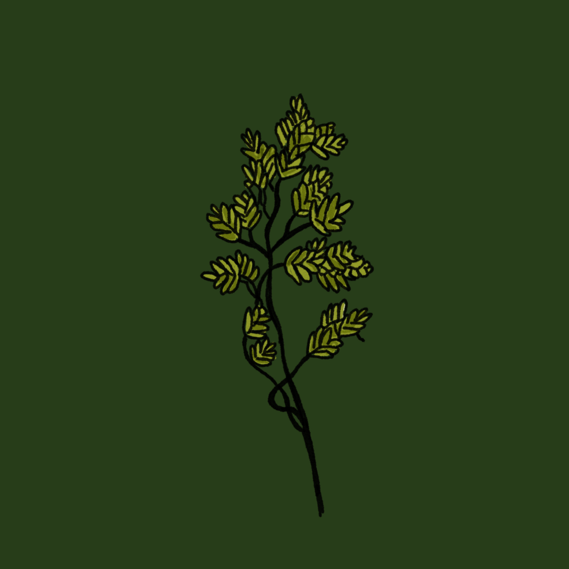 A stylized drawing of a green leafy branch.