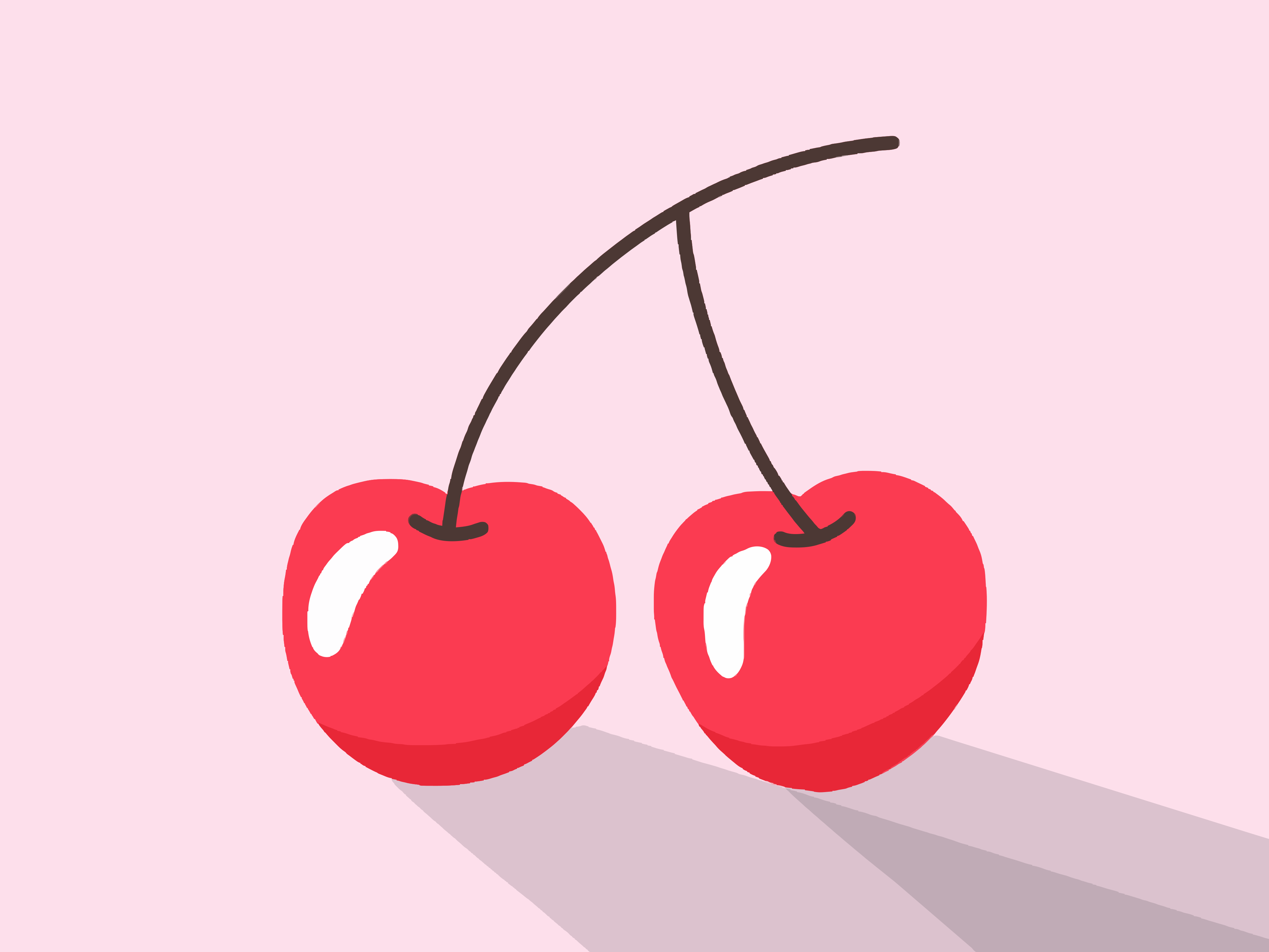 Two red cherries with stems on pink background