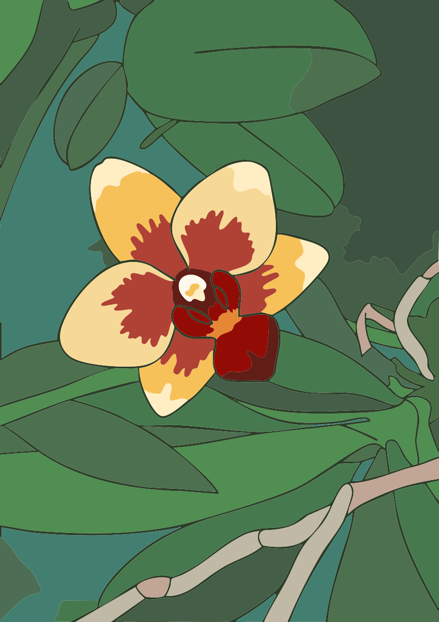 Una delicada flor de orquídea con pétalos amarillos y rojos