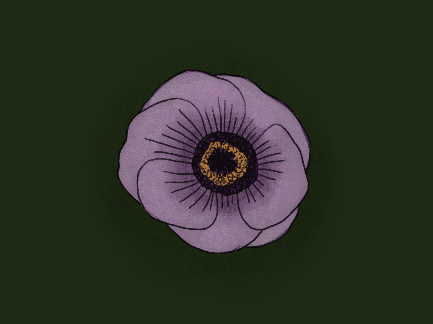 A single purple flower with a dark center.