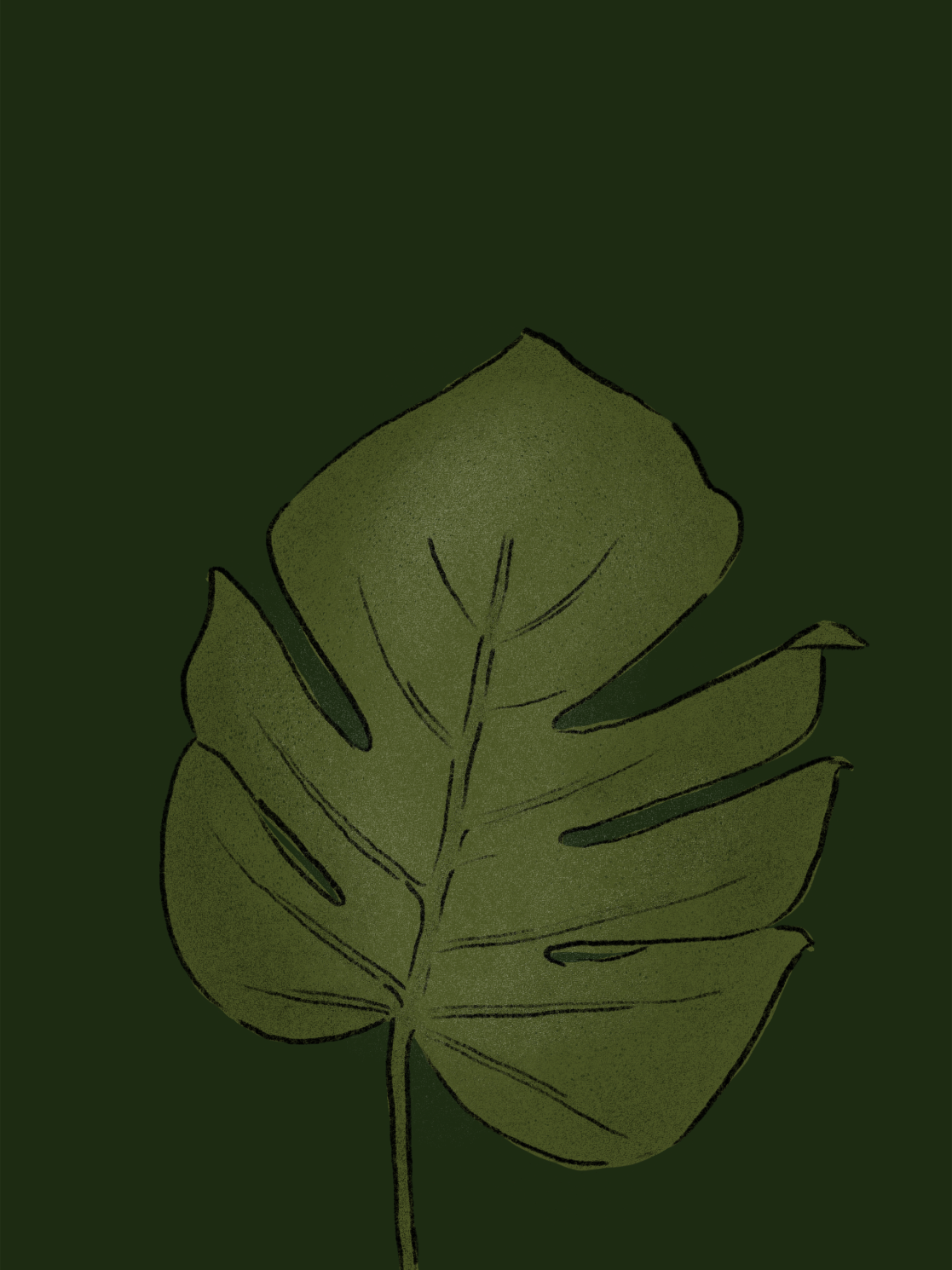 A green monstera leaf against a dark green background