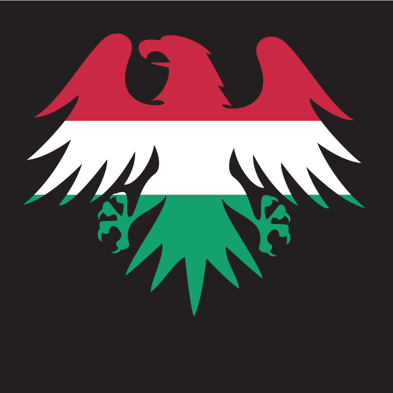 Eagle with hungarian flag colors on black background