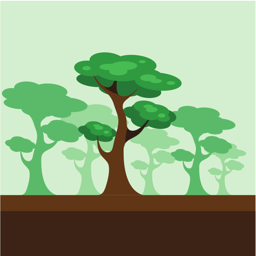Stylized forest with green trees and brown ground