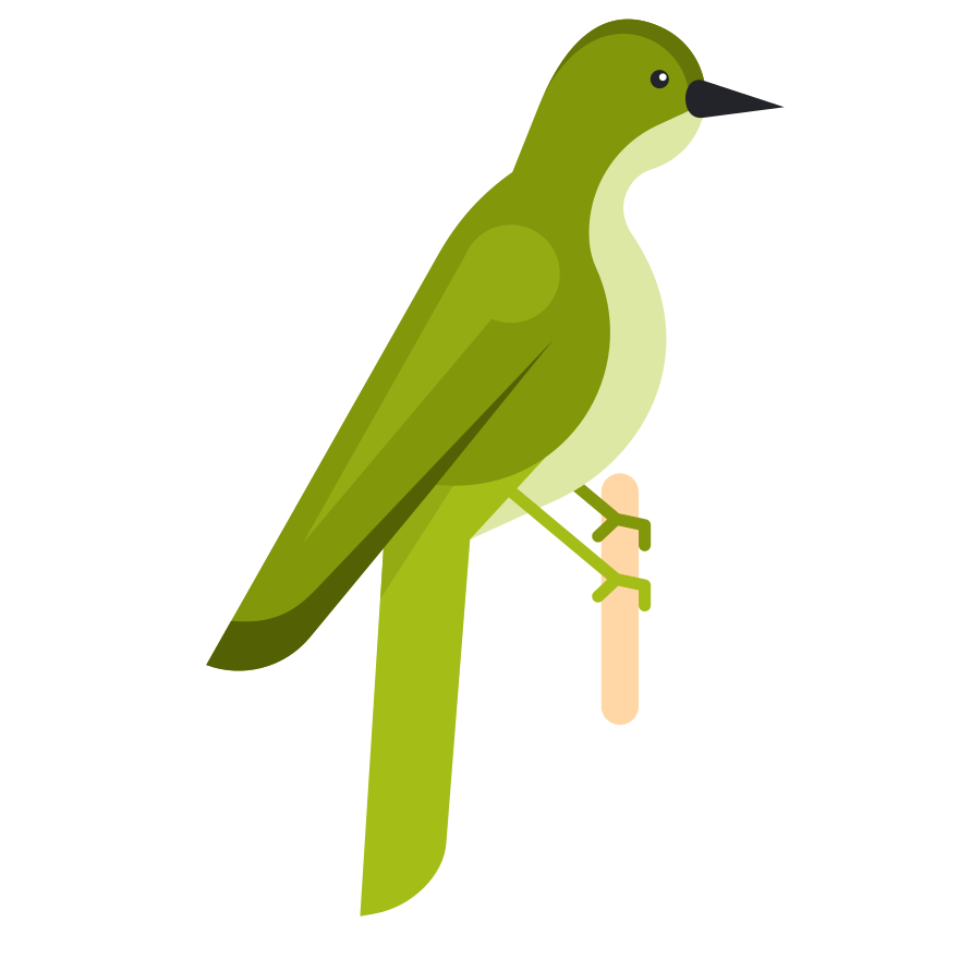 A green bird perched on a light brown stick.
