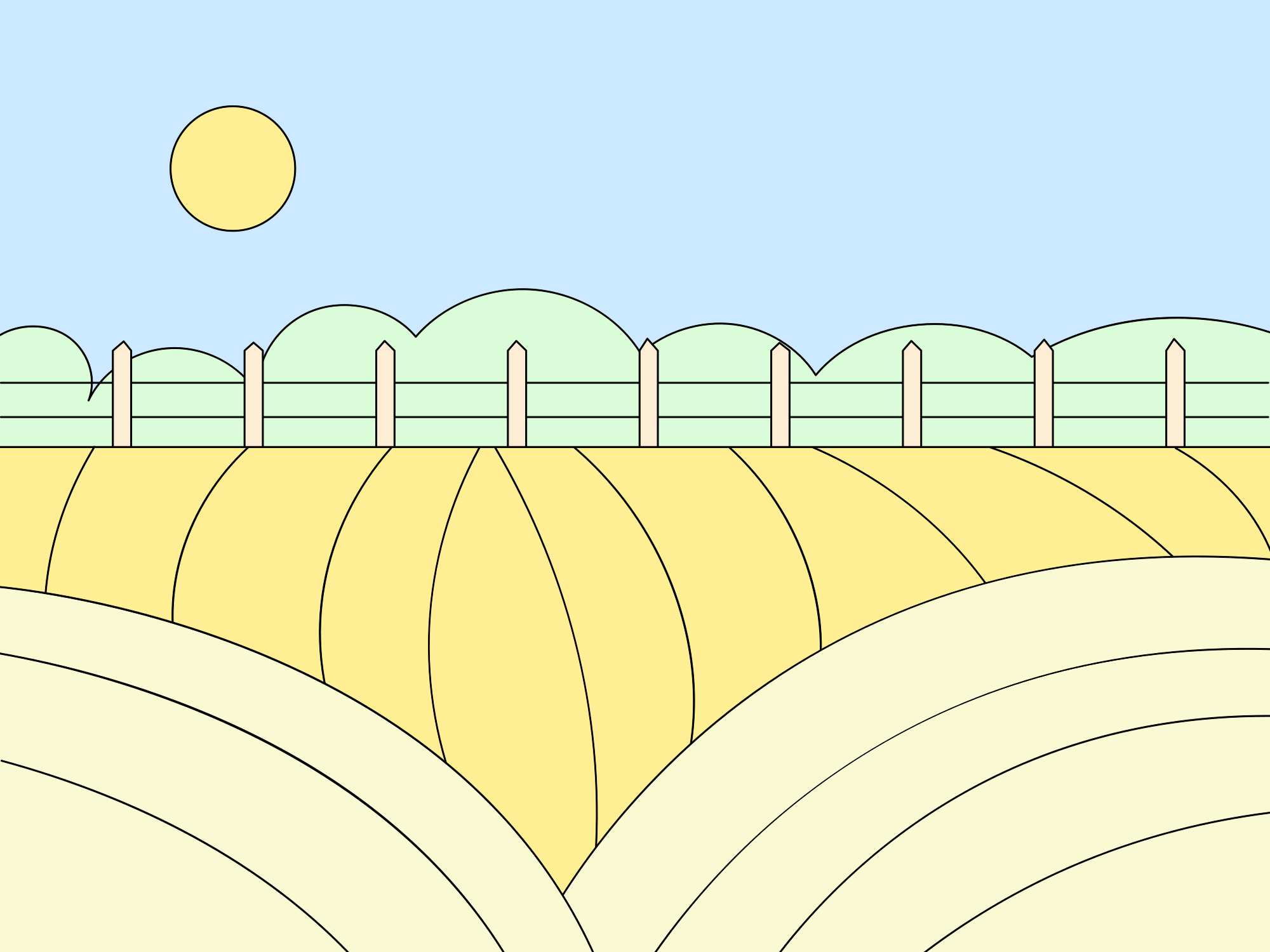 Sunny day over a yellow field with a fence.