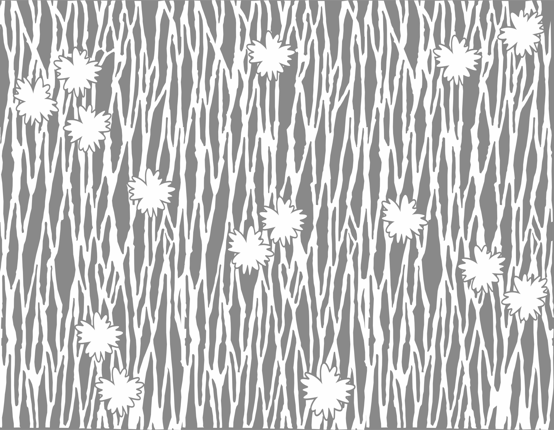 Photo by slimanekadi