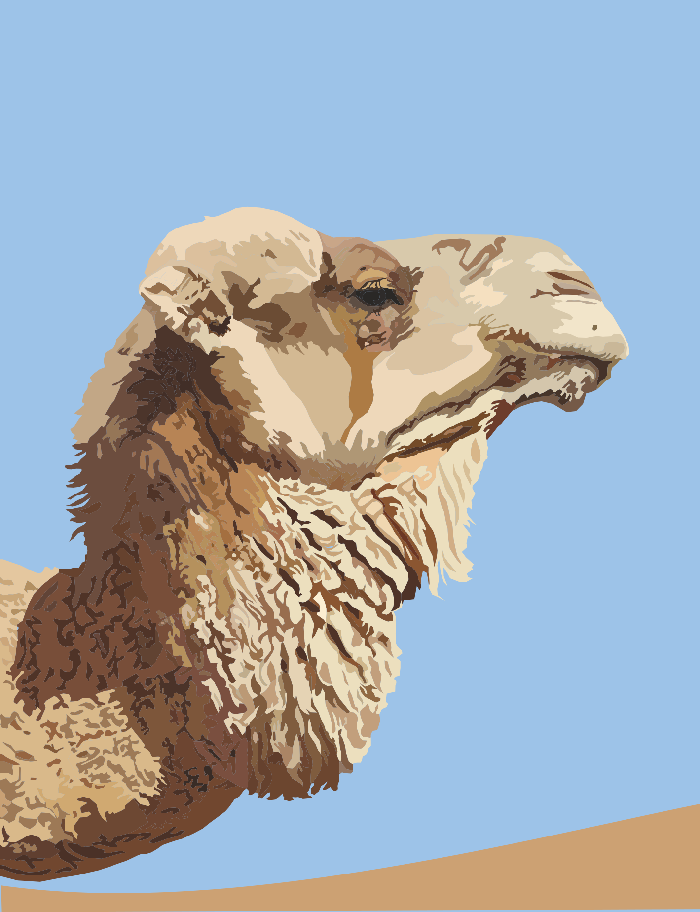 Close-up of a camel's head against a blue sky.