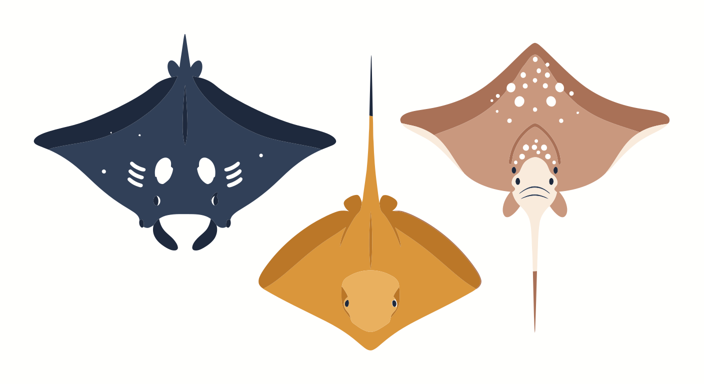 Photo by lucifurification